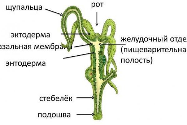 Кракен ru